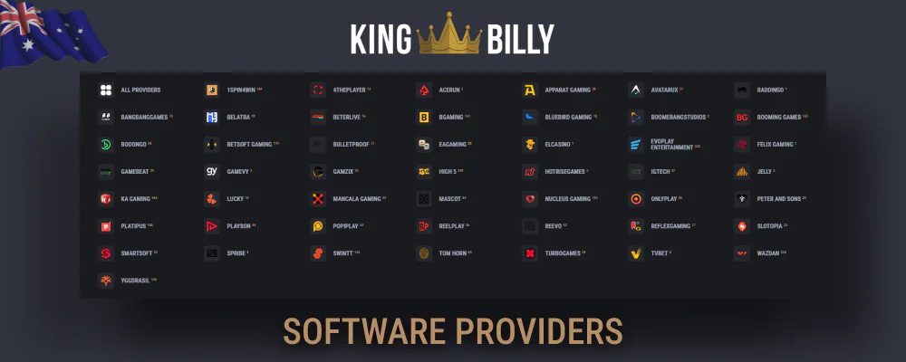 Software providers in King Billy